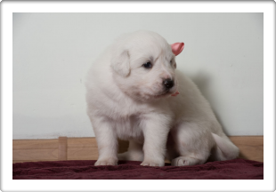 Capture One Session0298